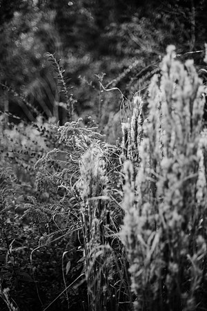 untitled-139-2