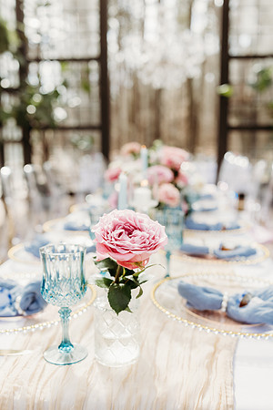 Mark + Jessica Wedding 2-16-2025-764