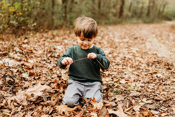 Fall Minis-2024-1851