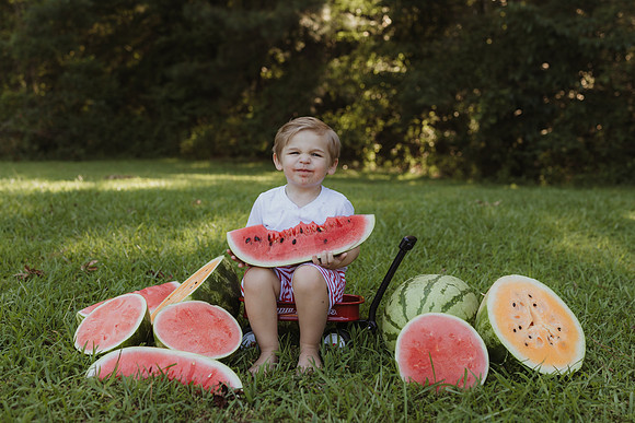Ty + Watermelon 2025-2