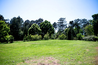 1600 Summit Dr-16