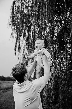 untitled-246-2