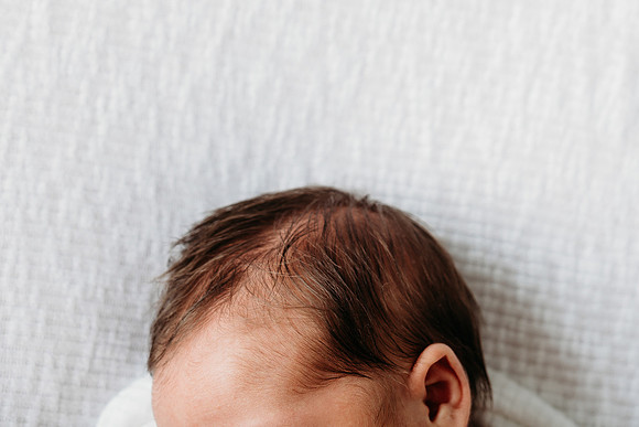 Freeman Newborn 2024-732